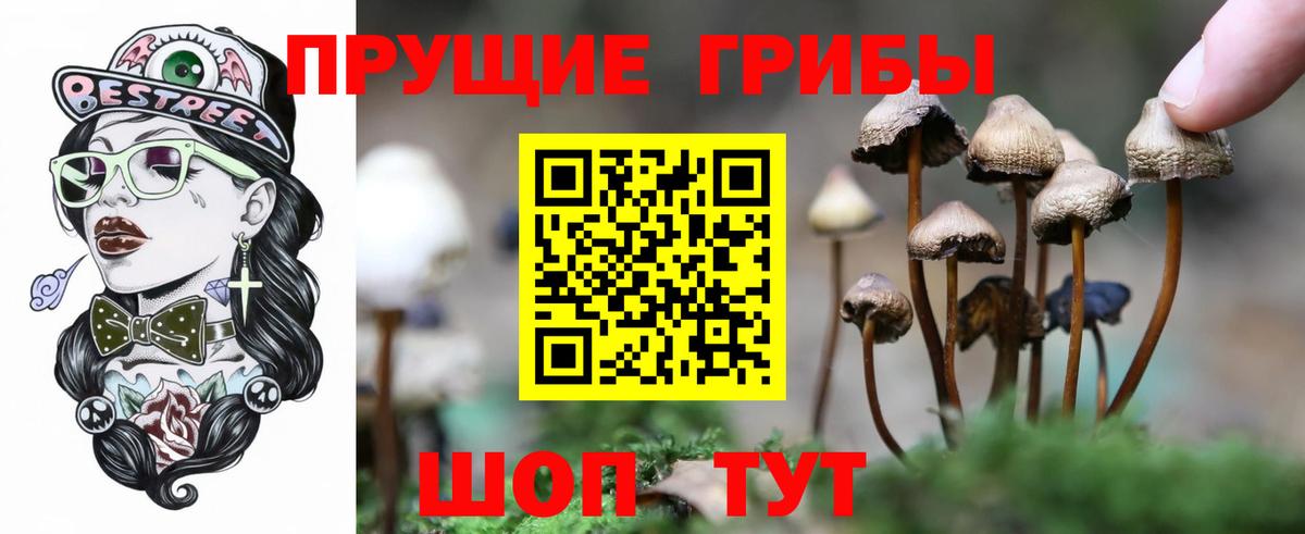 Оренбург  сколько стоит  Вход с VPN  Галлюциногенные грибы прущие грибы 