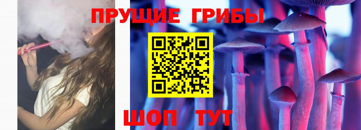 Псилоцибиновые грибы Psilocybine cubensis Оренбург